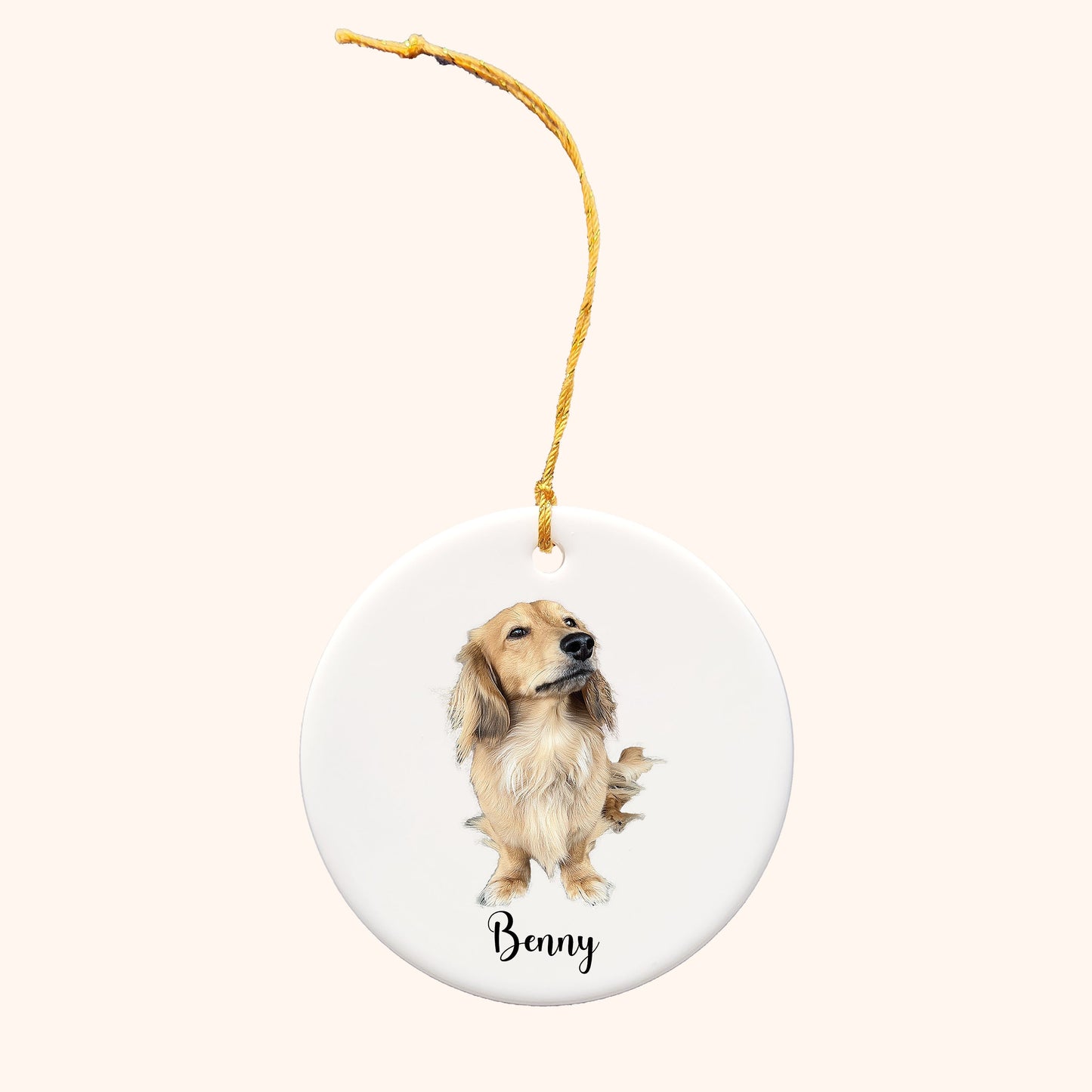 Customized Pet Ornament, Personalized Ceramic Dog Ornament, Dog Picture Ornament, Pet Owner Gift, Dog Name Ornament-[J-12-CIRCLR]