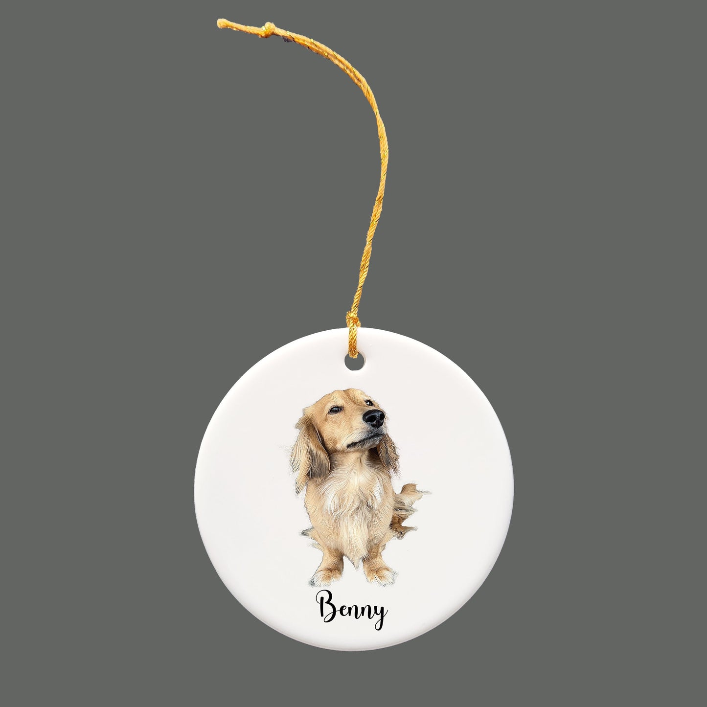 Customized Pet Ornament, Personalized Ceramic Dog Ornament, Dog Picture Ornament, Pet Owner Gift, Dog Name Ornament-[J-12-CIRCLR]